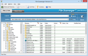 file scavenger v3.0.1